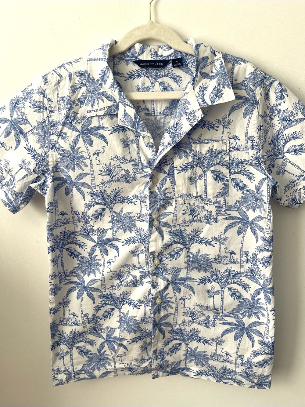 Janie and Jack button down shirt